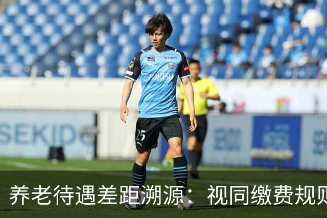 养老待遇差距溯源：视同缴费规则统一才是制度公平关键