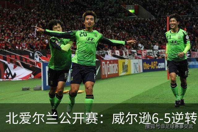 北爱尔兰公开赛：威尔逊6-5逆转绝杀克雷吉，囧哥赛季首进排名赛决赛