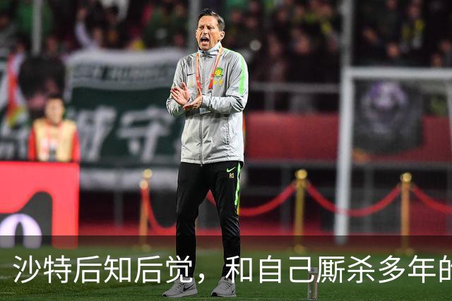 沙特后知后觉，和自己厮杀多年的胡塞武装，暗地里早和美国谈好了