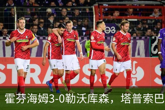 霍芬海姆3-0勒沃库森，塔普索巴送点，克拉马里奇传射建功